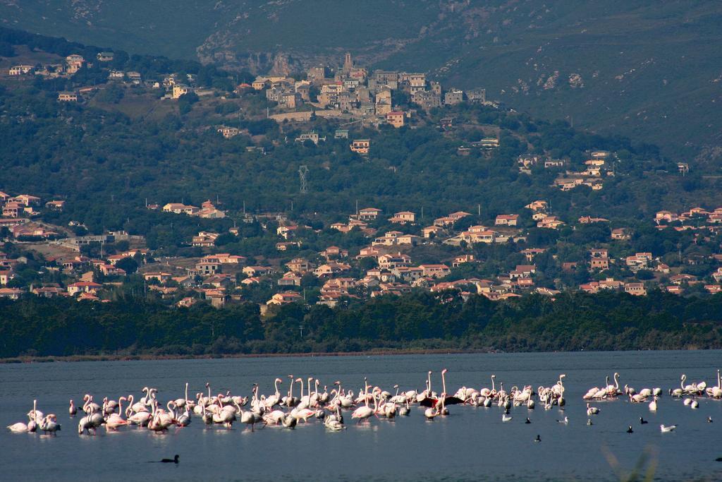 Isola Hotel Borgo  Kültér fotó